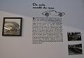 50 JAAR MG B (83)